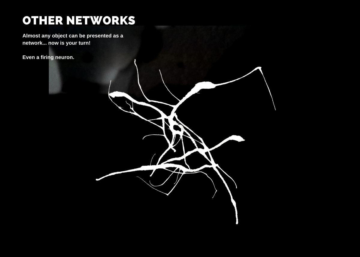 Virtual Gallery Interaction Data Lab